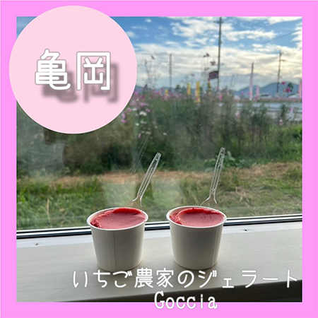 いちご農家のジェラートGoccia