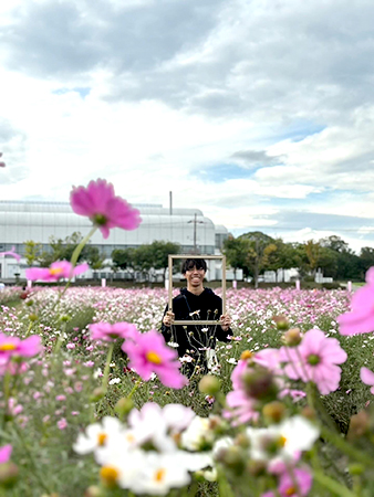 夢コスモス園