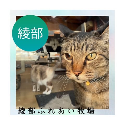 メイン